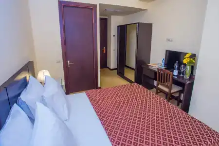 Ani Central Inn - 43