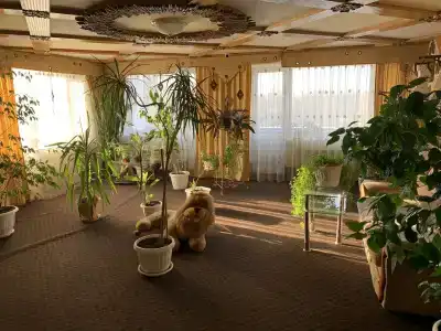 Фантазия - 2