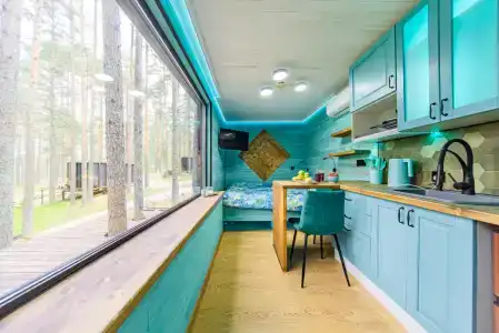 Радужный лес - 1