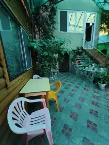 Лаванда - 20