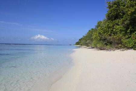 Boutique Beach All Inclusive Diving - 28