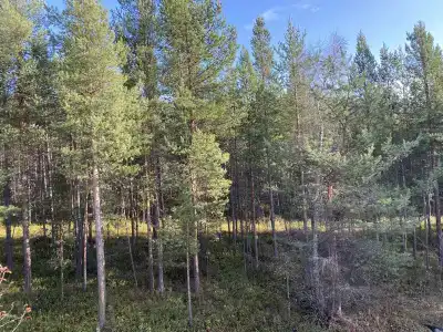 Дискавери - 3
