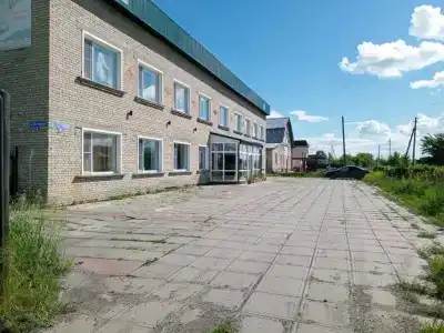 Три кита - 4