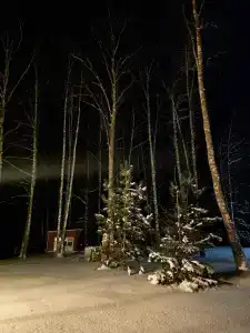 Вейкпарк Волма - 226