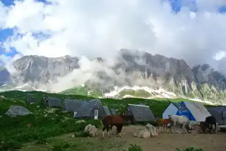 Фишт - 11