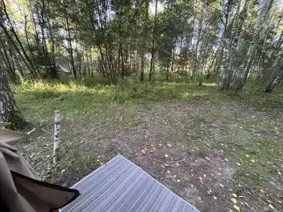 Звездный лес - 113