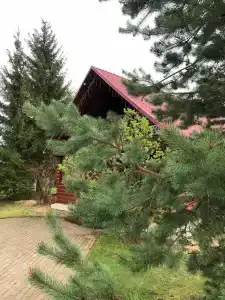 Шанти - 0