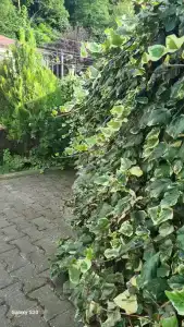 Best Point - 9
