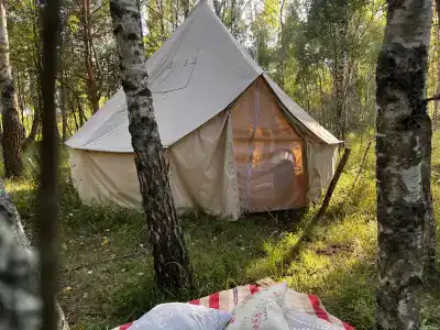 Звездный лес - 89