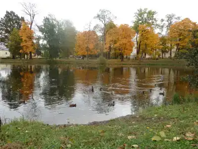 на Средней, 40 - 26