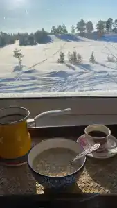 Опушка - 2