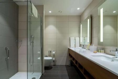 Hilton Garden Inn Tbilisi Chavchavadze - 28