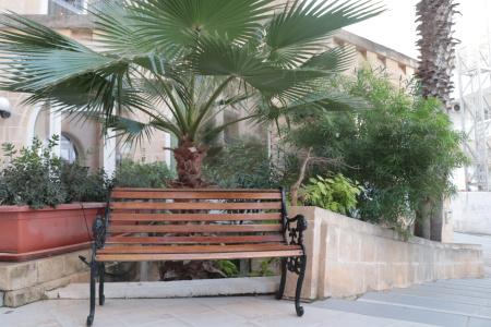 Il Palazzin - 16