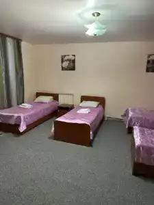 Альпенхауз - 48