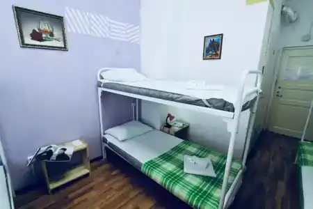 Гости - 29