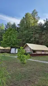 Магия леса в Беловежской пуще - 167