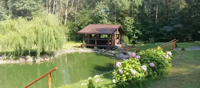 Заячья поляна - 22