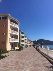 Лиана - 0
