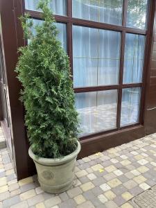 Silver House - 9