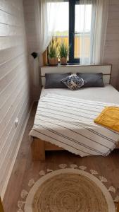 Sova House - 13