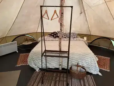 Звездный лес - 24