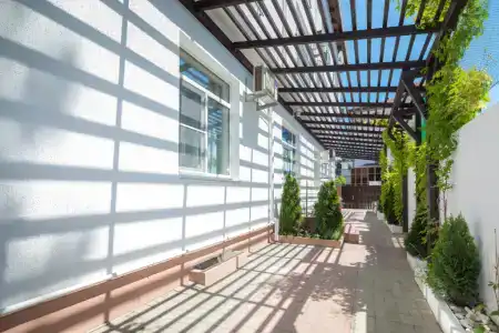 Абрикос Плюс - 0