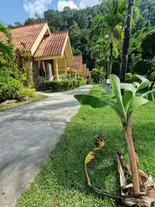 Rim Khao Resort - 6