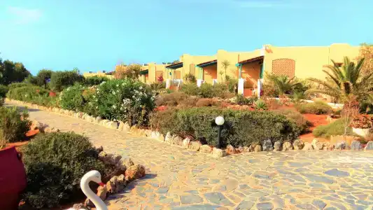 Zorbas Beach Village - 26