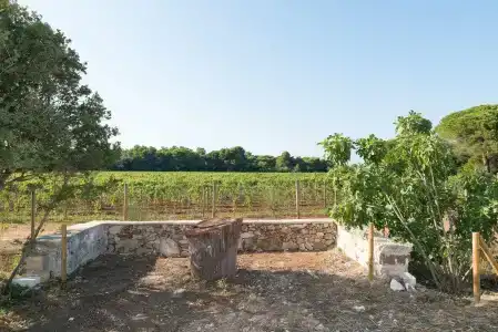Masseria Mongiò dell'Elefante - 22