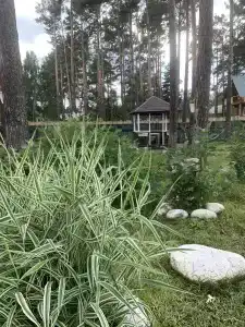 Подснежник - 22