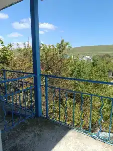 Вирджиния - 22