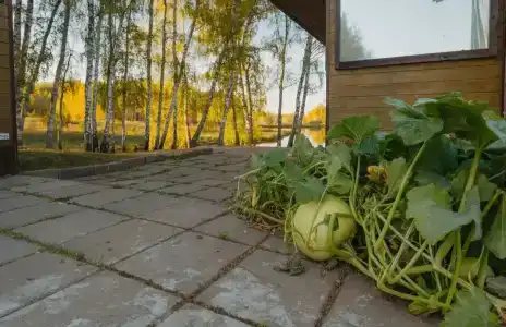 Усадьба Кузьмищево - 7