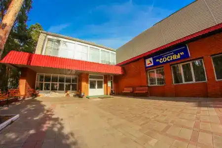 Сосны - 0