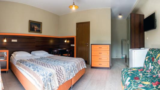 Дача Дриада - 16