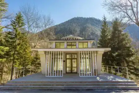 Borjomi Likani Health & Spa Centre - 13