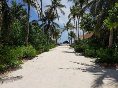 Cinnamon Velifushi Maldives - 11