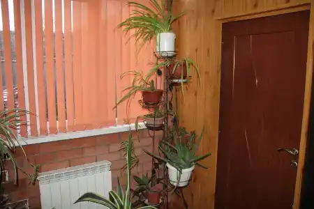 В гостях у Любви - 103