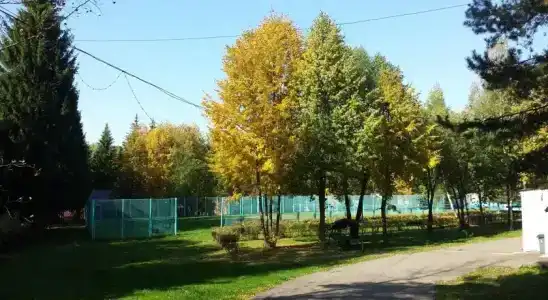 Флора Парк - 19