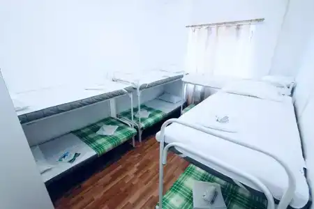 Гости - 11