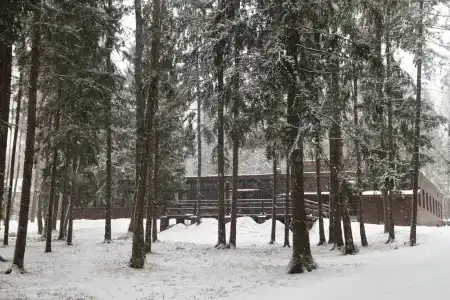 Воробьи - 3