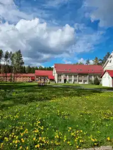 Чайка - 9