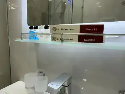 Art Regency Premium Free Airport Service - 33