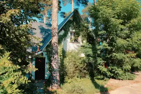 Ателика Улиткино - 266