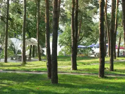 Соколова пустынь - 10