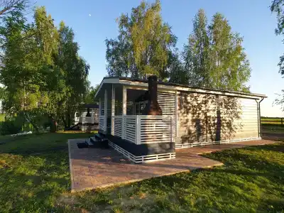 Березовый берег - 53