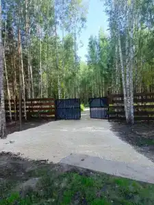 Forest Nest - 3