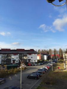 Снегири - 8