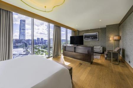 Radisson Blu, Vadistanbul - 9