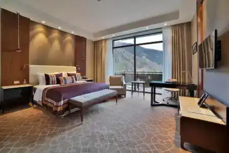 Borjomi Likani Health & Spa Centre - 4