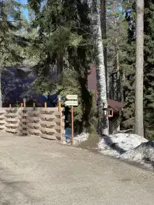Алёкка - 17